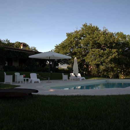 The Forest House Isernia Dış mekan fotoğraf