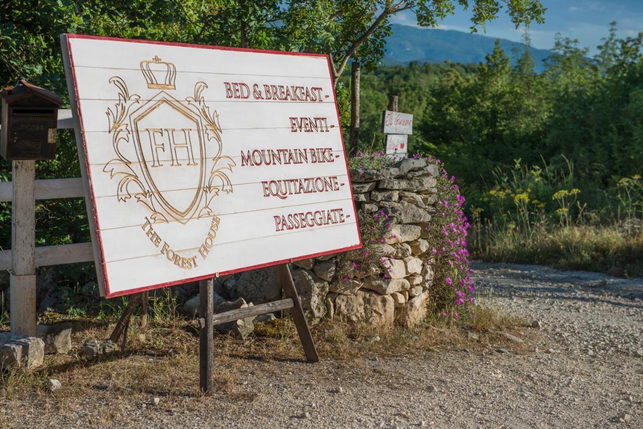 The Forest House Isernia Dış mekan fotoğraf