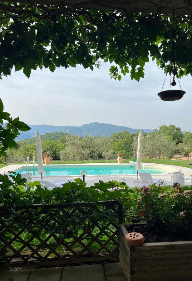 The Forest House Isernia Dış mekan fotoğraf